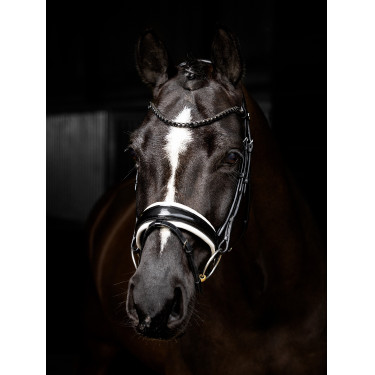 Briglia LeMieux Kudos Patent dressage Nero / bianco Briglia LeMieux Kudos Patent dressage Nero / bianco