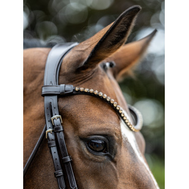 Briglia LeMieux Kudos Patent dressage Marrone