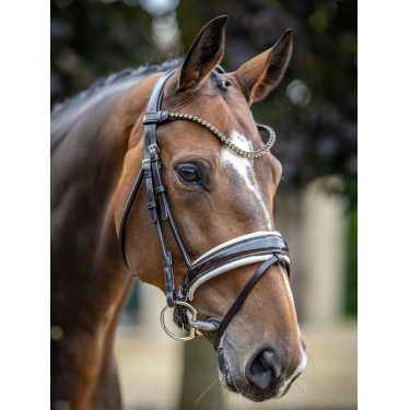 Briglia LeMieux Kudos Patent dressage Marrone / bianco