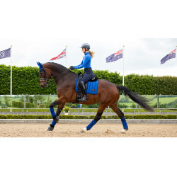Sottosella LeMieux Loire Dressage Square Sottosella LeMieux Loire Dressage Square