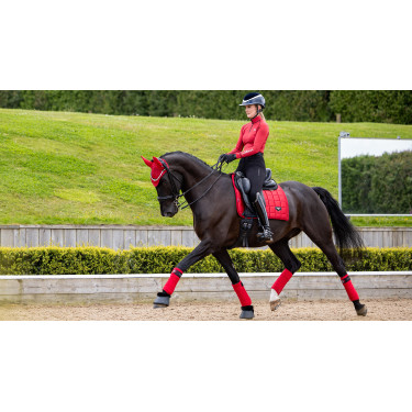 Sottosella LeMieux Loire Dressage Square Peperoncino Rosso