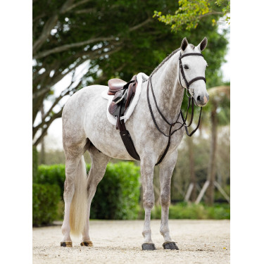 Tappeto Hunter Merino+ ProSorb LeMieux Tappeto Hunter Merino+ ProSorb LeMieux