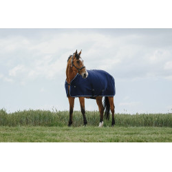 Camicia asciugante Riding World Camicia asciugante Riding World