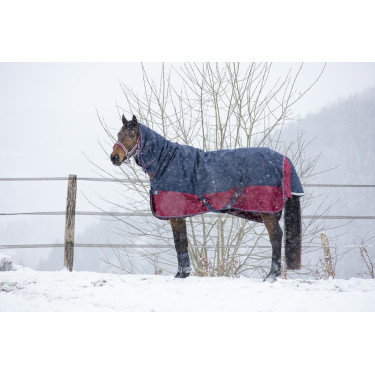 Coperta Equithème Tyrex 1200 D Combo Coperta Equithème Tyrex 1200 D Combo