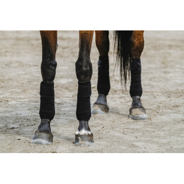 Fasce da polo Equithème in confezione da 4 Fasce da polo Equithème in confezione da 4