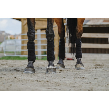 Fasce da polo Equithème in confezione da 4 Fasce da polo Equithème in confezione da 4