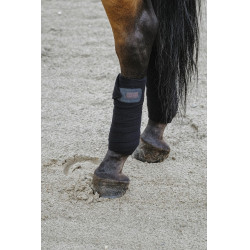 Fasce da polo Equithème in confezione da 4 Fasce da polo Equithème in confezione da 4