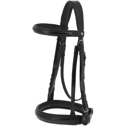 Briglia e redini cinghie Percheron Norton