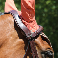 Briglia Capezzina Combinata Anatomica Dy'on Collezione New English Nero