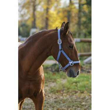 Capestro in nylon Spring Equithème