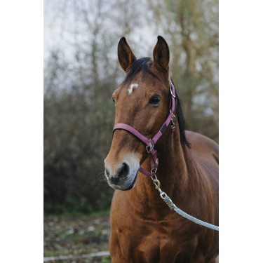 Capestro in nylon Spring Equithème Capestro in nylon Spring Equithème