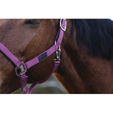 Capestro in nylon Spring Equithème Capestro in nylon Spring Equithème