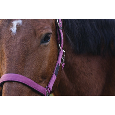Capestro in nylon Spring Equithème Capestro in nylon Spring Equithème