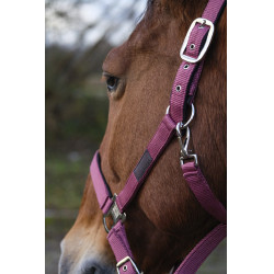 Capestro in nylon Spring Equithème Capestro in nylon Spring Equithème