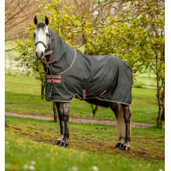 Coperta Horseware Amigo Hero Ripstop Plus con copricollo 0g