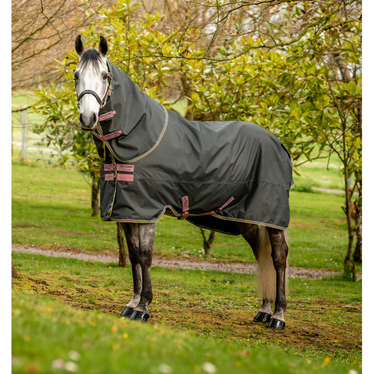 Coperta Horseware Amigo Hero Ripstop Plus con copricollo 0g