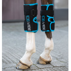 Stinchiere Ice-Vibe Ginocchia Horseware