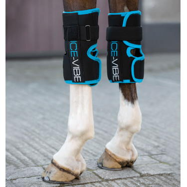 Stinchiere Ice-Vibe Ginocchia Horseware