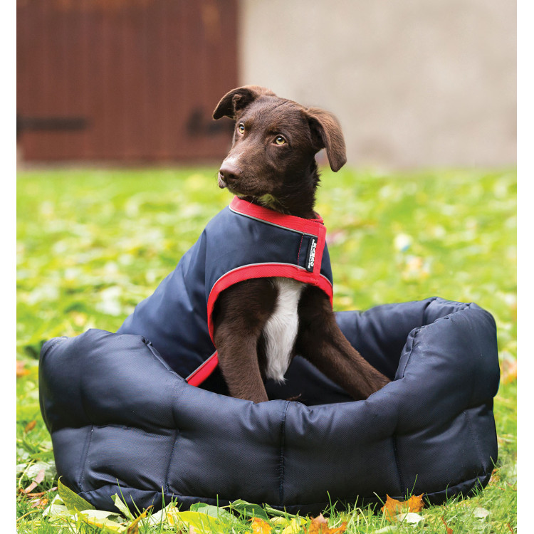 Cappotto impermeabile per cane Rambo Horseware 100g