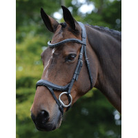 Briglia anatomica Collegiate ComFiTec Vogue Nero Briglia anatomica Collegiate ComFiTec Vogue Nero