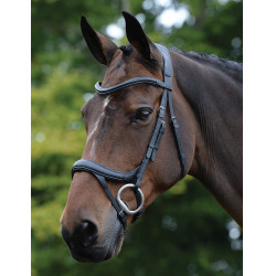 Briglia anatomica Collegiate ComFiTec Vogue Nero Briglia anatomica Collegiate ComFiTec Vogue Nero