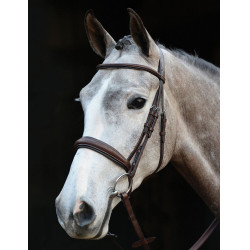 Briglia Collegiate con testiera Mono Crown
