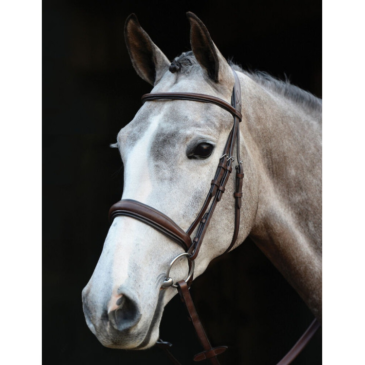 Briglia Collegiate con testiera Mono Crown
