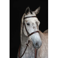 Capezzina Bridon Collegiate IV Marrone