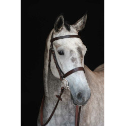 Capezzina Bridon Collegiate IV Marrone