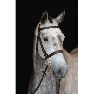 Capezzina Bridon Collegiate IV Marrone