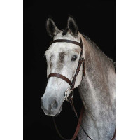Capezzina Bridon Collegiate IV Marrone