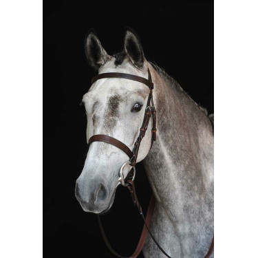 Capezzina Bridon Collegiate IV Marrone