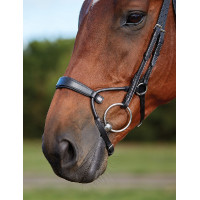 Briglia Collegiate ComFiTec Nero