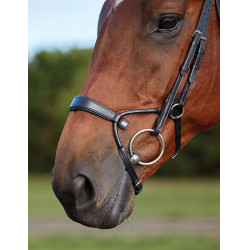 Briglia Collegiate ComFiTec Nero