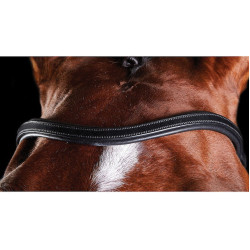 Briglia Collegiate ComFiTec Nero