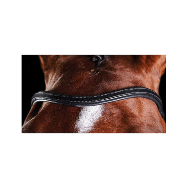 Briglia Collegiate ComFiTec Briglia Collegiate ComFiTec