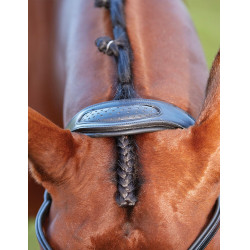 Briglia Collegiate ComFiTec Nero