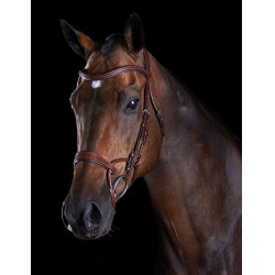 Briglia Collegiate ComFiTec Marrone