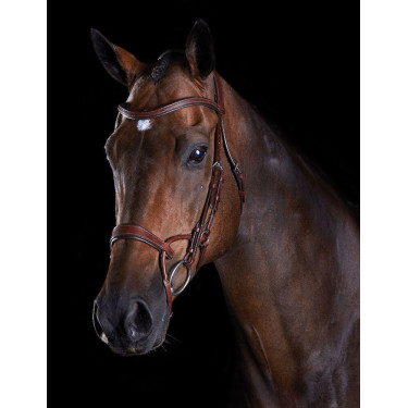 Briglia Collegiate ComFiTec Marrone