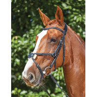 Briglia Collegiate ComFiTec Grackle Nero