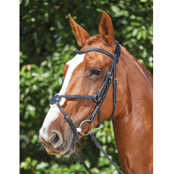 Briglia Collegiate ComFiTec Grackle Nero