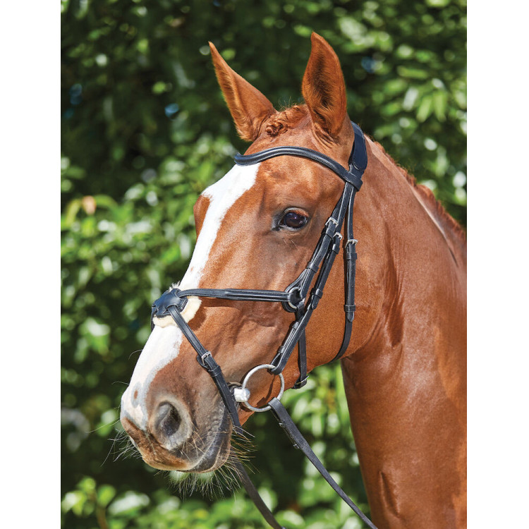 Briglia Collegiate ComFiTec Grackle Briglia Collegiate ComFiTec Grackle