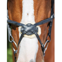 Briglia Collegiate ComFiTec Grackle Nero