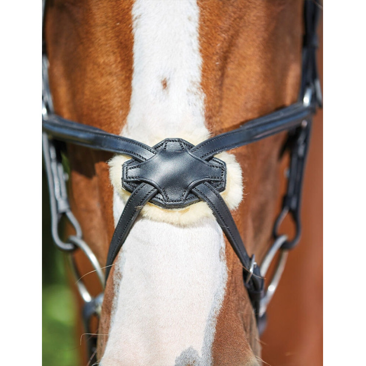 Briglia Collegiate ComFiTec Grackle Briglia Collegiate ComFiTec Grackle