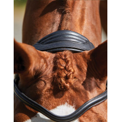 Briglia Collegiate ComFiTec Grackle Nero