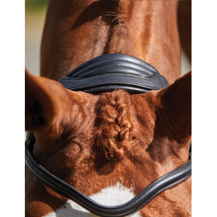 Briglia Collegiate ComFiTec Grackle Briglia Collegiate ComFiTec Grackle