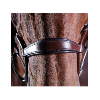 Briglia crystal Collegiate ComFiTec Nero