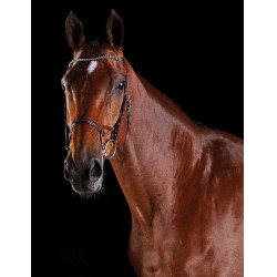 Briglia crystal Collegiate ComFiTec Marrone