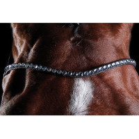 Briglia crystal Collegiate ComFiTec Nero