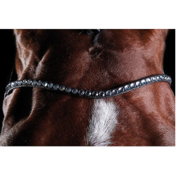 Briglia crystal Collegiate ComFiTec Marrone